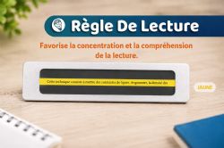 ROBIII - RÈGLE DE LECTURE - JAUNE